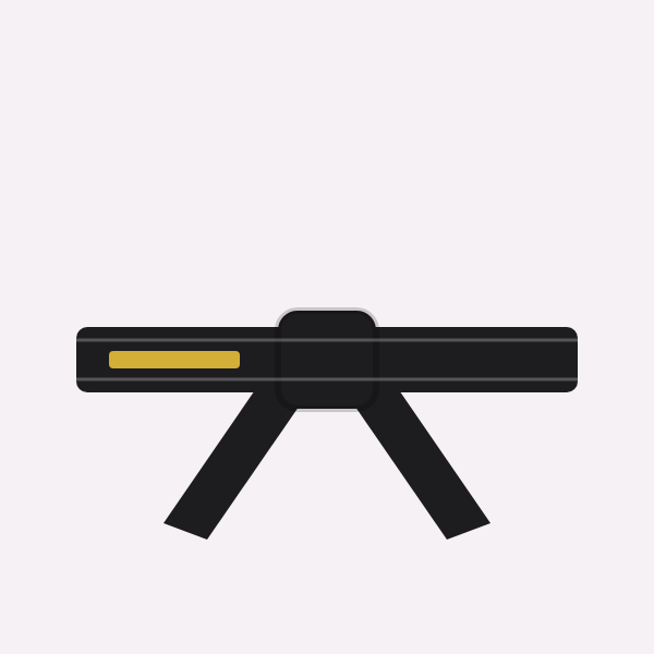 חגורה שחורה רקומה